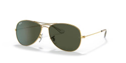 Ray-Ban RB 3362 COCKPIT - 001 GOLD green classic g-15