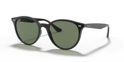 Ray-Ban RB 4305 - 601/71 BLACK green