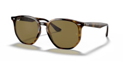 Ray-Ban RB 4306 - 710/73  LIGHT HAVANA b-15 brown