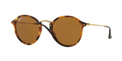 Ray-Ban RB 2447 ROUND/CLASSIC 1160    SPOTTED BROWN HAVANA brown