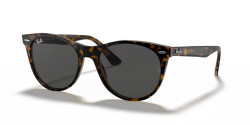 Ray-Ban RB 2185 WAYFARER II - 1292B1 HAVANA ON TRANSPARENT BROWN dark grey