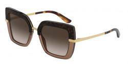 Dolce&Gabbana DG 4373 - 325613  TOP HAVANA ON TRANSP BROWN brown gradient