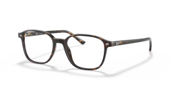 Ray-Ban RB 5393 LEONARD - 2012  HAVANA