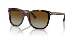 Emporio Armani EA 4060 - 5026T5 SHINY HAVANA polar brown gradient