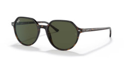 Ray-Ban RB 2195 THALIA - 902/31 HAVANA green