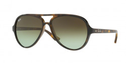 Ray-Ban RB 4125 CATS 5000 710/A6  HAVANA green gradient brown