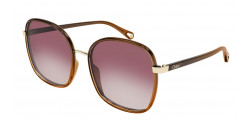 Chloe CH 0031 S - 006 BROWN pink double gradient