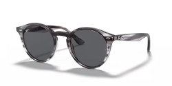 Ray-Ban RB 2180 - 643087 STRIPED GREY HAVANA dark grey