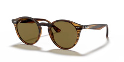 Ray-Ban RB 2180 - 820/73 STRIPED RED HAVANA dark brown