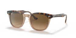 Ray-Ban RB 2298 HAWKEYE - 1292M2 HAVANA ON TRANSPARENT BROWN  polarized brown