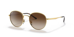 Ray-Ban RB 3681 - 001/13 GOLD  gradient brown