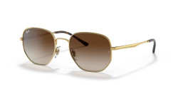 Ray-Ban RB 3682 - 001/13 GOLD gradient brown