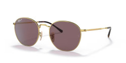 Ray-Ban RB 3772 ROB - 001/AF GOLD polarized dark violet