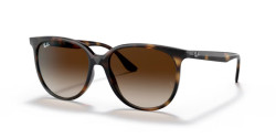 Ray-Ban RB 4378 - 710/13 HAVANA gradient brown