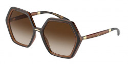 Dolce&Gabbana DG 6167 - 318513 HAVANA/TRANSPARENT BROWN  gradient brown