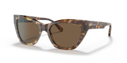 Emporio Armani EA 4176 - 502573 SHINY BROWN HAVANA brown