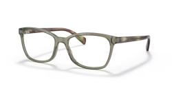 Ray-Ban RX 5362 - 8178 TRANSPARENT GREEN