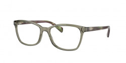 Ray-Ban RB 5362 - 8178 TRANSPARENT GREEN