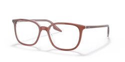 Ray-Ban RX 5406 - 8171 BROWN ON TRANSPARENT