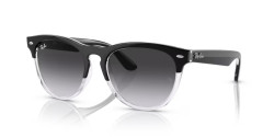 Ray-Ban RB 4471 IRIS - 66308G BLACK ON TRANSPARENT grey