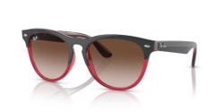 Ray-Ban RB 4471 IRIS - 663113 GREY ON TRANSPARENT RED brown