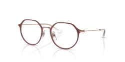 Ray Ban Junior RY 1058 - 4077 MATTE BORDEAUX ON ROSE GOLD