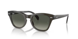 Ray-Ban RB 0707S - 664271 TRANSPARENT OLIVE GREEN grey