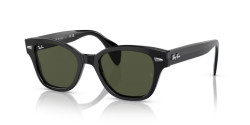 Ray-Ban RB 0880S - 901/31 BLACK green