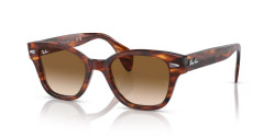 Ray-Ban RB 0880S - 954/51 STRIPED HAVANA brown