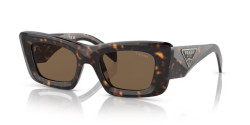 Prada PR 13ZS - 2AU06B TORTOISE dark brown