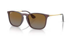 Ray-Ban RB 4187 CHRIS - 6593T5 TRANSPARENT BROWN polarized brown