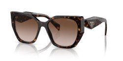 Prada PR 19ZS - 2AU6S1 TORTOISE brown gradient