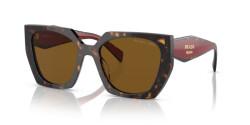 Prada PR 15WS - 2AU5Y1 TORTOISE dark brown polar