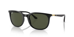 Ray-Ban RB 4386 - 601/31 BLACK green