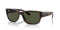 Ray-Ban RB 4388 - 710/31 HAVANA green