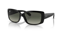 Ray-Ban RB 4389 - 601/71 BLACK grey