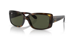 Ray-Ban RB 4389 - 710/31 HAVANA  green