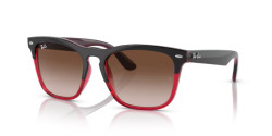 Ray-Ban RB 4487 STEVE - 663113 GREY ON TRANSPARENT RED brown