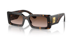 Dolce&Gabbana DG 4416 - 502/13 HAVANA gradient brown