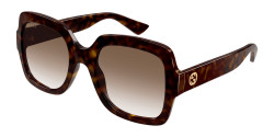 Gucci GG 1337S - 003 HAVANA brown gradient