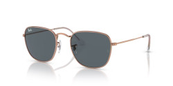 Ray-Ban RB 3857 FRANK - 9202R5 ROSE GOLD blue