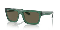 Ray-Ban 4396 WARREN - 6681/3 TRANSPARENT GREEN brown