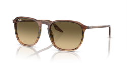 Ray-Ban  RB 2203 - 13920A STRIPED BROWN & GREEN brown black