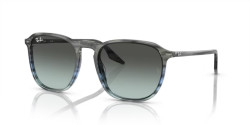 Ray-Ban  RB 2203 - 1391GK STRIPED GREY & BLUE blue/black