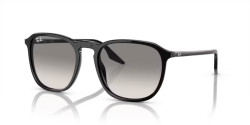 Ray-Ban  RB 2203 - 901/32 BLACK light grey