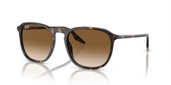 Ray-Ban  RB 2203 - 902/51 HAVANA  light brown