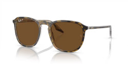 Ray-Ban  RB 2203 - 139357 HAVANA polarized b-15 brown