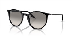 Ray-Ban RB 2204  - 901/32 BLACK light grey