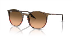 Ray-Ban RB 2204  - 13953B STRIPED BROWN & RED pink/black