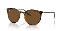 Ray-Ban RB 2204  - 139357 HAVANA ON TRANSPARENT polarized brown